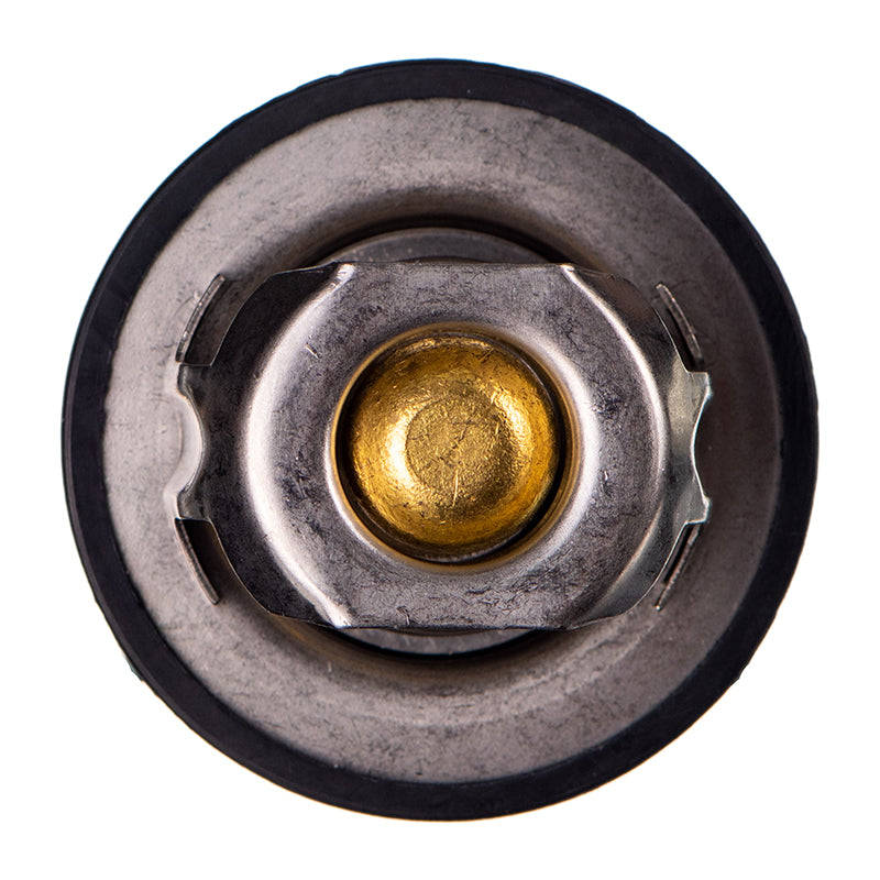 Thermostat - Ts5089 (Doe)