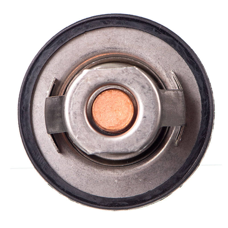 Thermostat - Ts5487 (Doe)