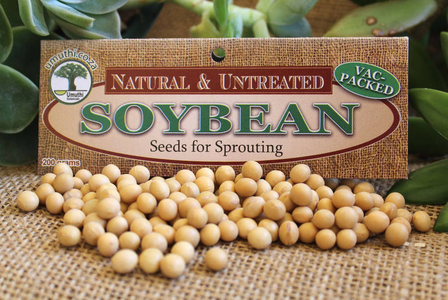 SOYA (SOY) BEANS - 200g Vac Pack