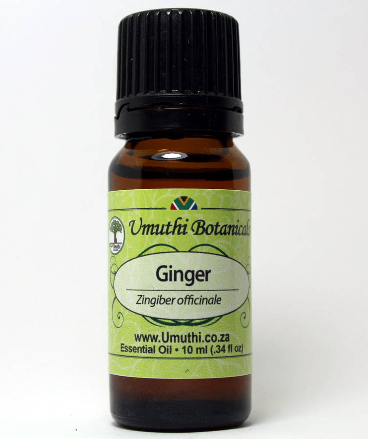 GINGER OIL - zingiber officinale - 100% Pure - 5ml