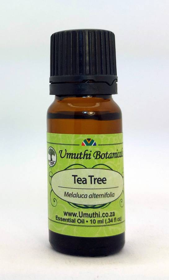 TEA TREE OIL (COMMON) - Melaluca alternifolia - 10ml