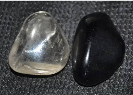 Star fossil flat excellent protection stone  Ancient fossils