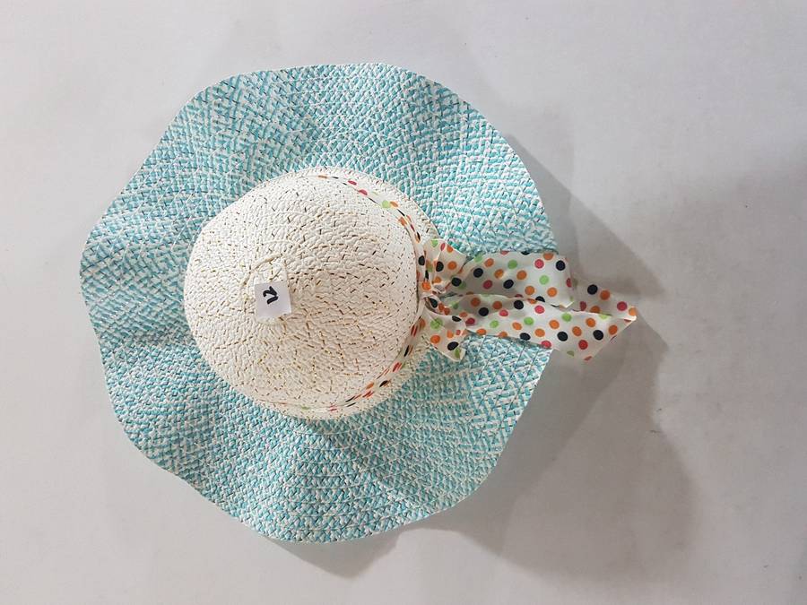 Ladies Fashion Hats - Design M - 878-12