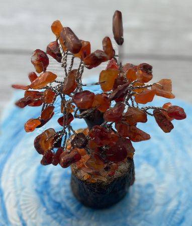 Crystal Trees