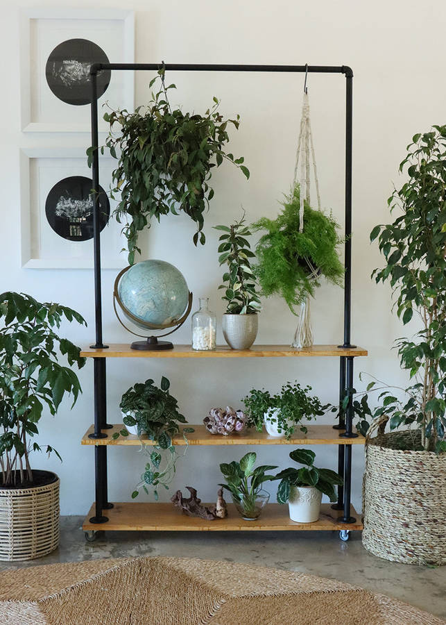 Pot Plant Stand