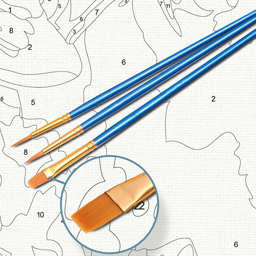 Adult Painting by Numbers - Lion