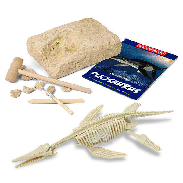 Junior Archaeology Dig Kit  Pliosaurus