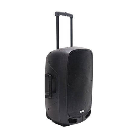 Portable Amplified Speaker 15" 300W