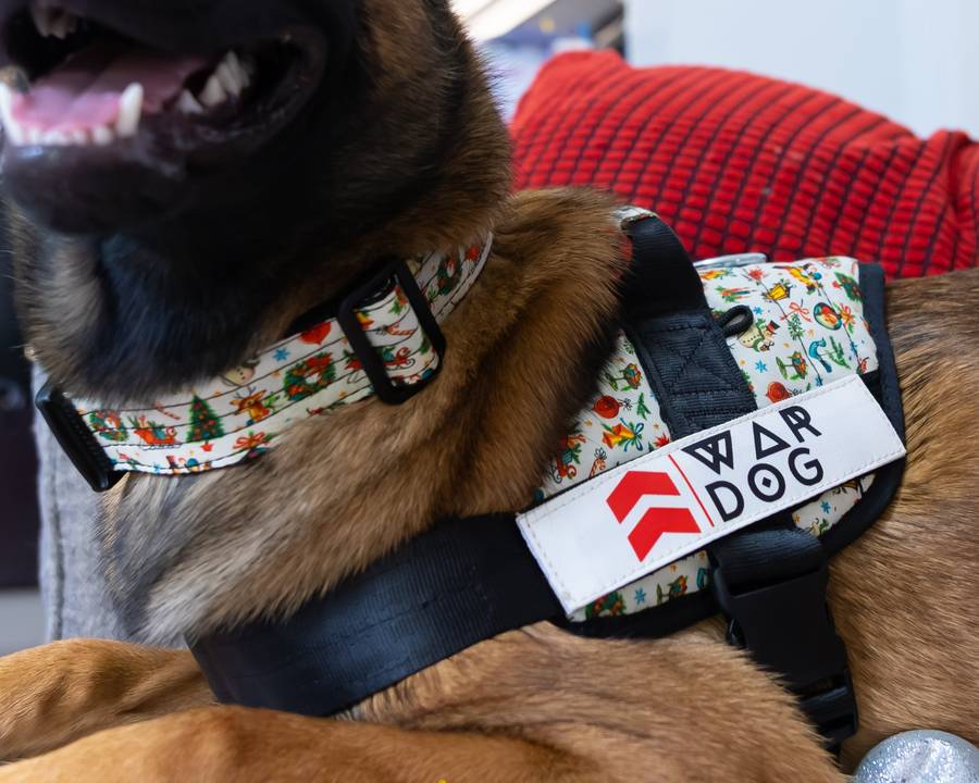 Limited Edition Festive Collar