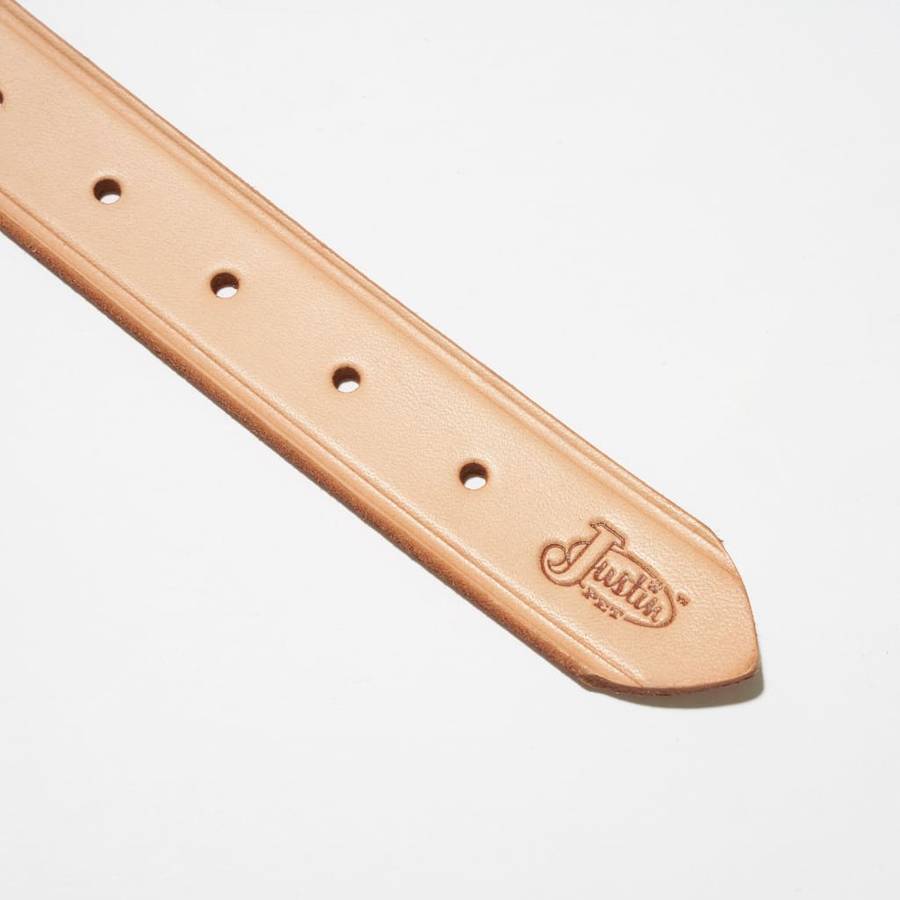 Deluxe Leather Dog Collar