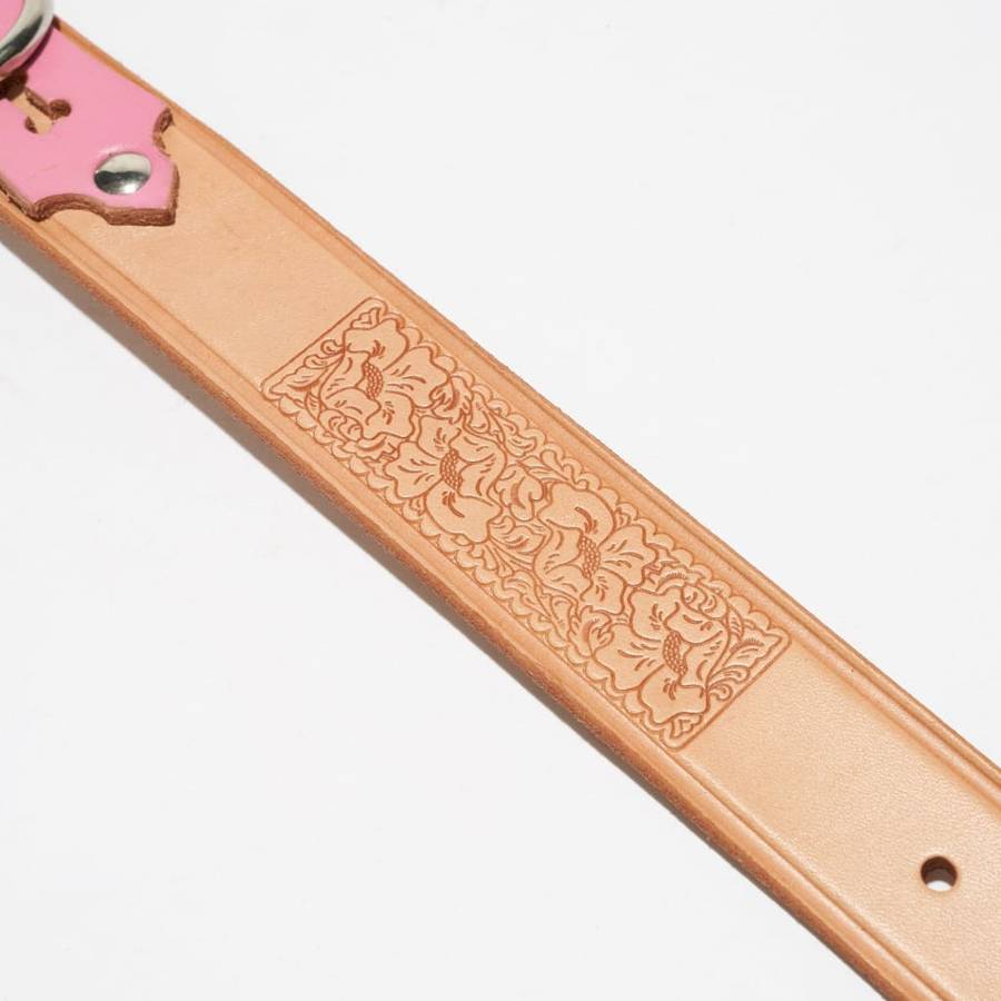 Deluxe Leather Dog Collar