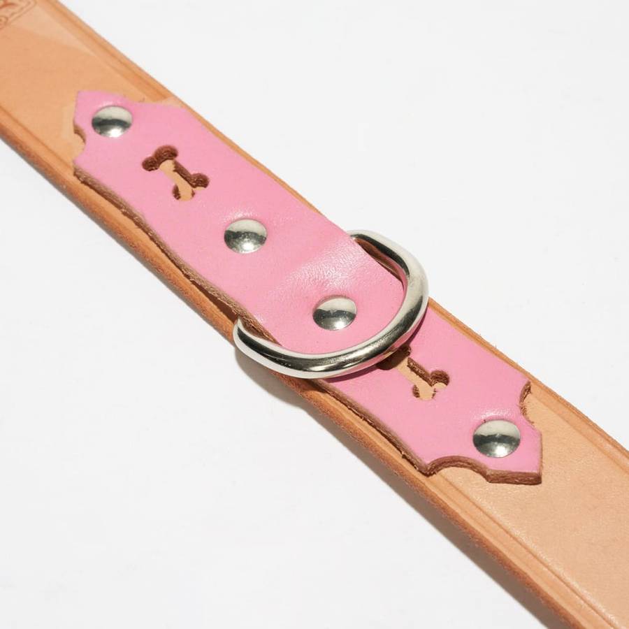 Deluxe Leather Dog Collar