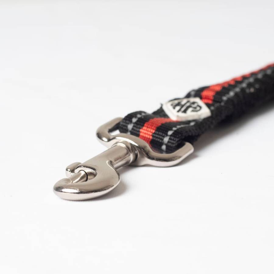 Pet Quest Bungee Seat Belt Clip