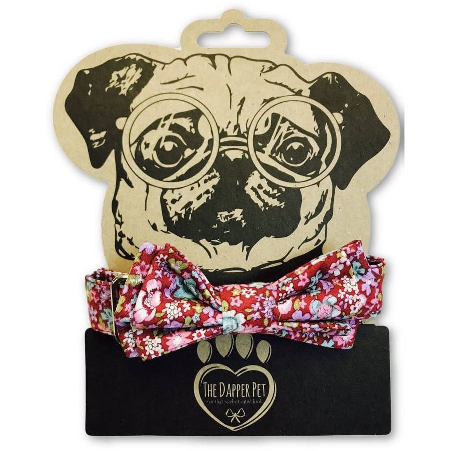 The Dapper Pet Spring Bow Tie Collar