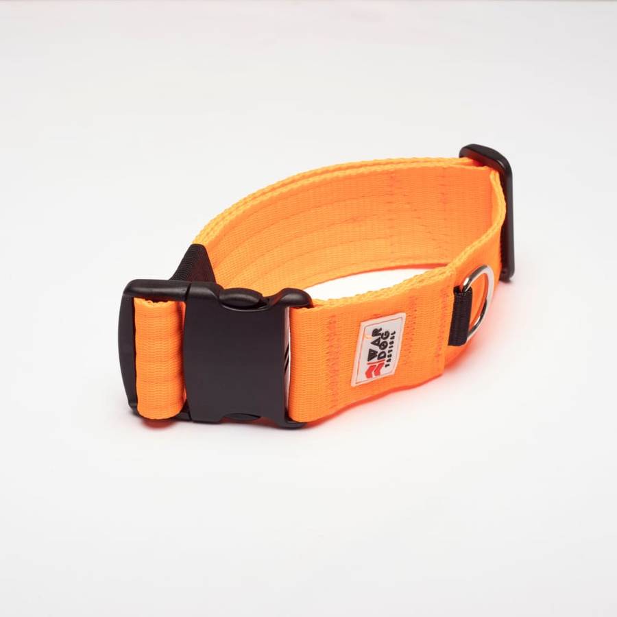 War Dog 50mm Light Collar