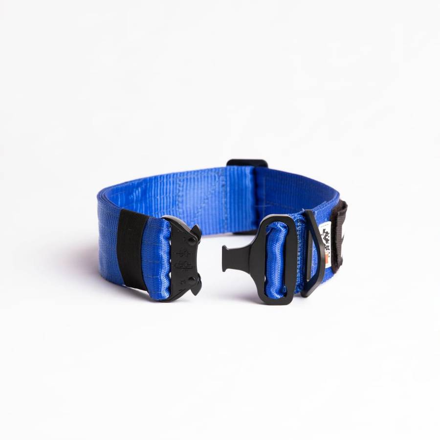 War Dog FOXTROT RIGID Collar - 50mm - Extra Large / UV Orange