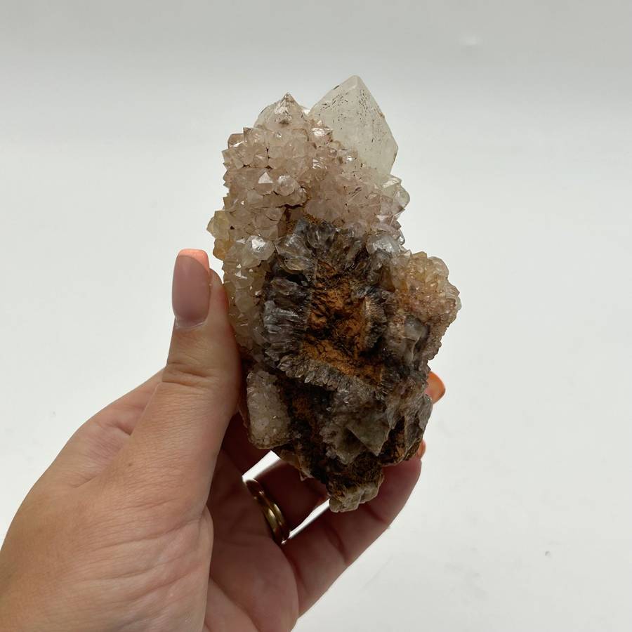 Cactus Quartz - king white cluster with Smoky Quartz tinges - red hematite and golden healer