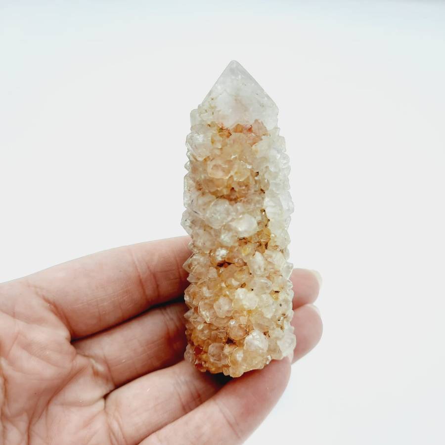Crimson Queen Cactus Quartz