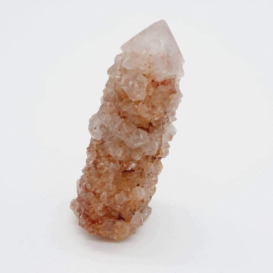 Crimson Queen Cactus Quartz