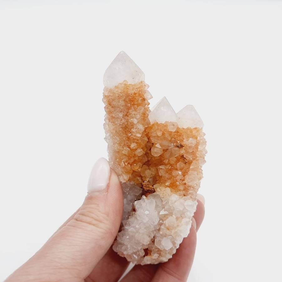 Cactus Quartz Crimson Queen