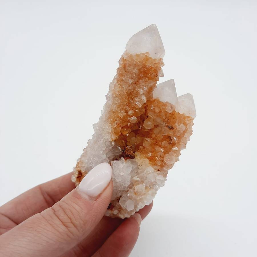 Cactus Quartz Crimson Queen