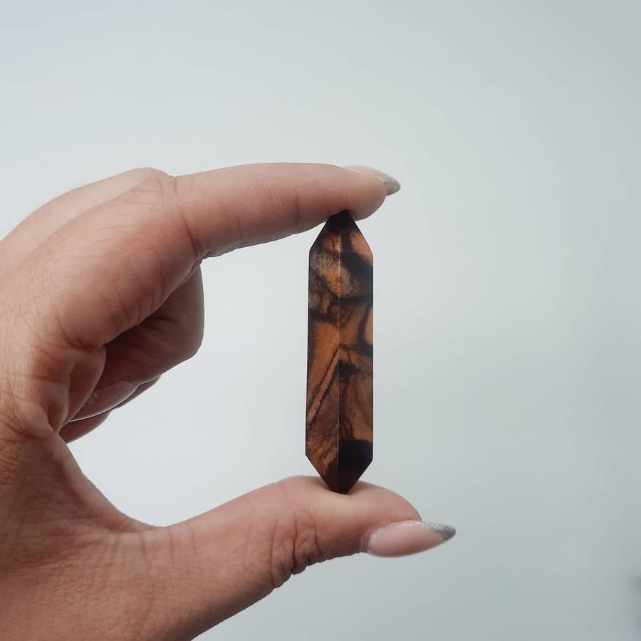 Double-Terminated Spiderweb Jasper