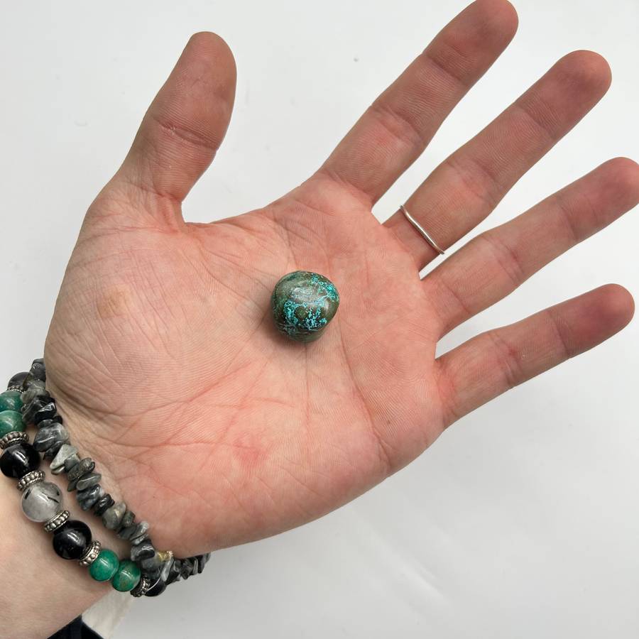 Tumbled Malacholla