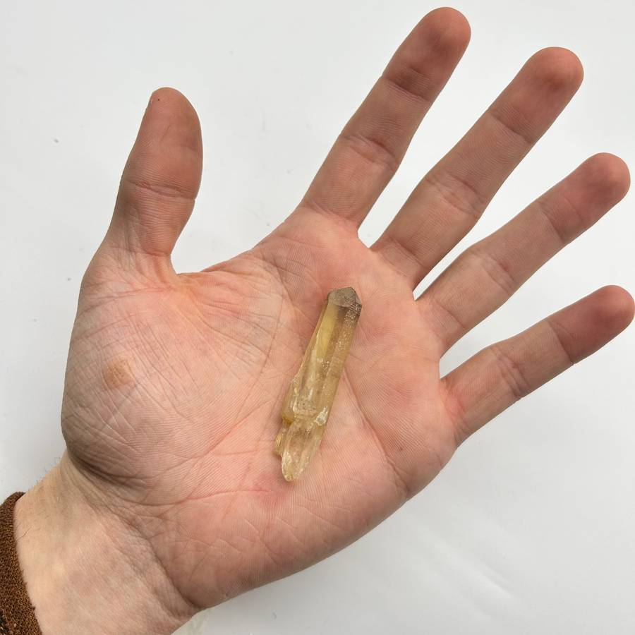Small Rough Congo Citrine Points