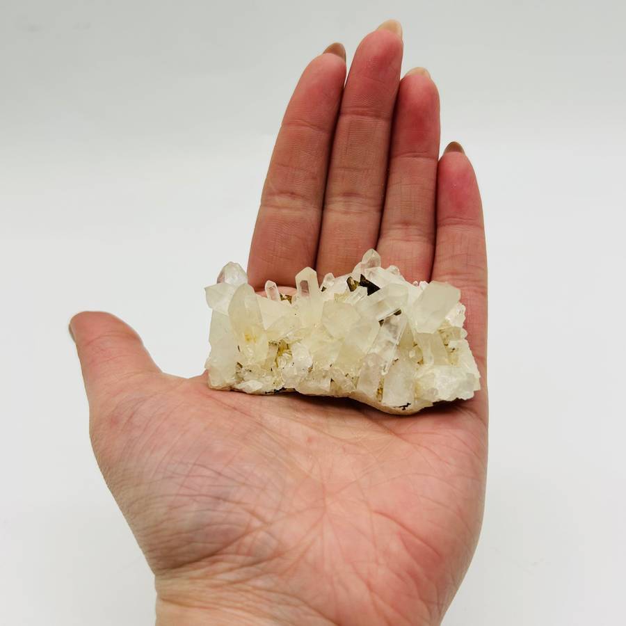 Clear Quartz Cluster