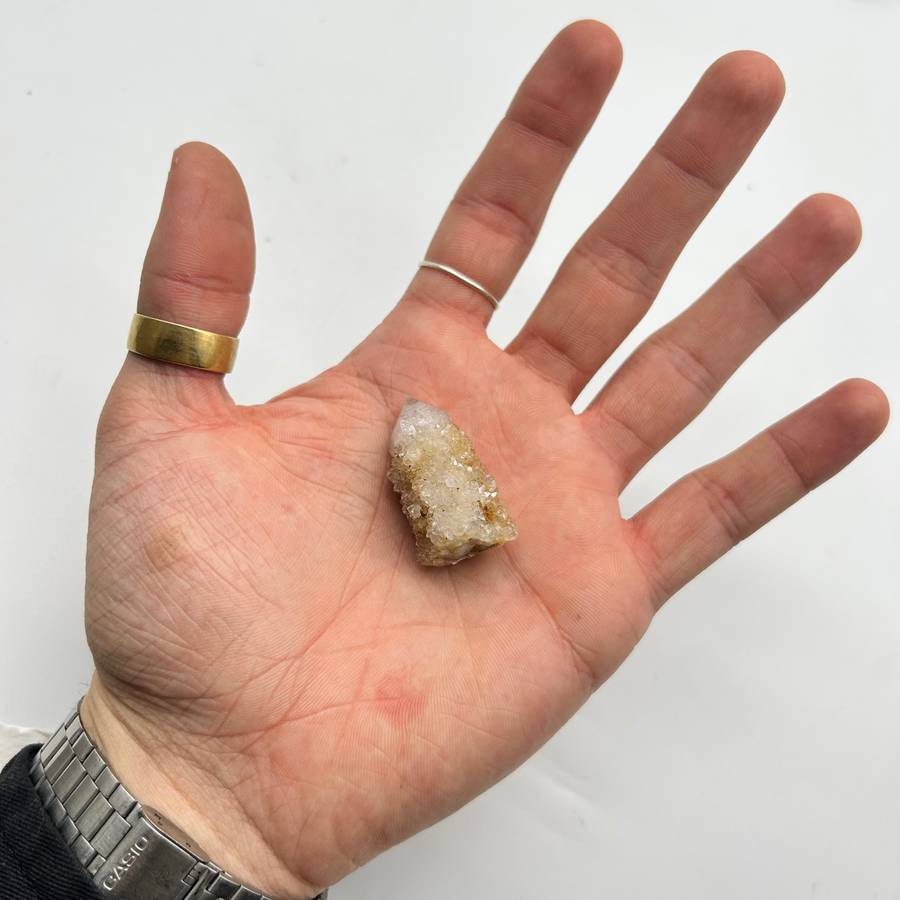 Small Cactus Quartz