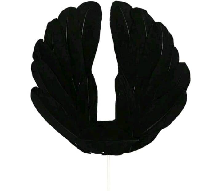 Cake Topper Feather Wings