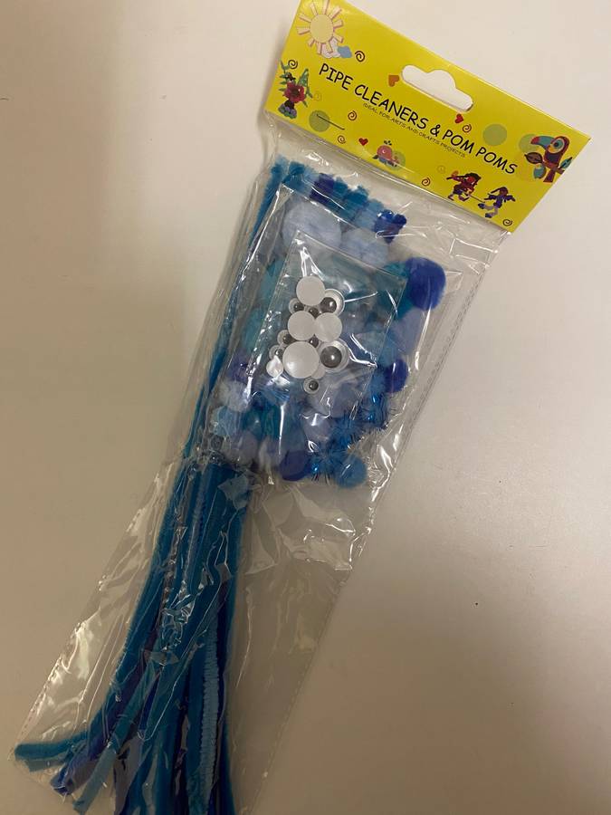 Blue Pipe Cleaning and Pom Poms Craft Set