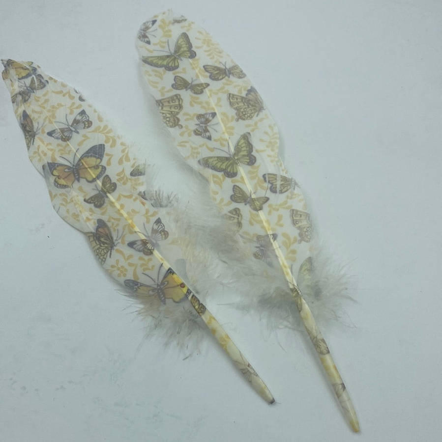 TOT-0842-17  Feathers Butterflies