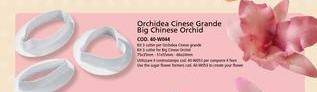Big chinese orchid cutter