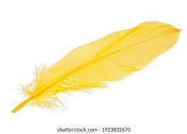 Yellow Feathers