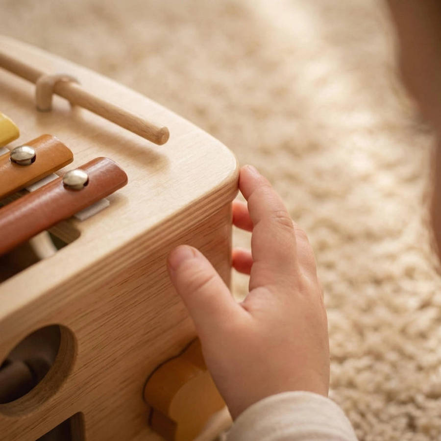 5 in 1 Mushroom Wooden Activity Cube