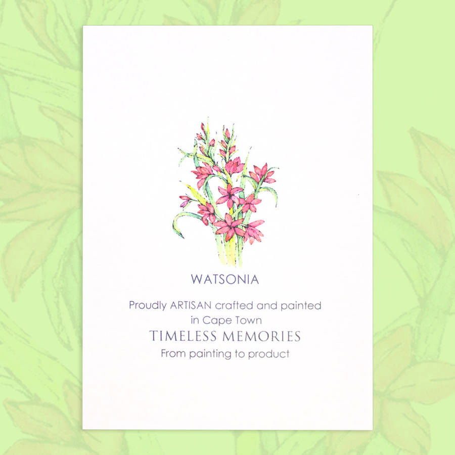 Watsonia A7 Notebook