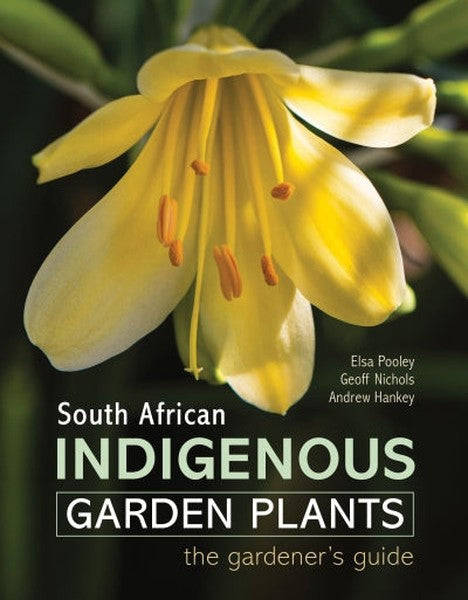 South African Indigenous Garden Plants