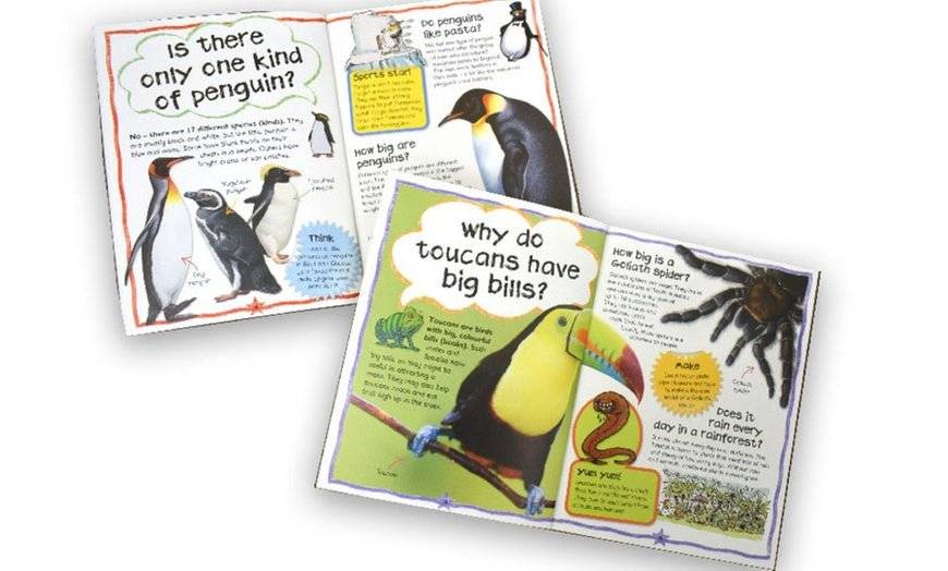 My Question And Answer Library Box Set