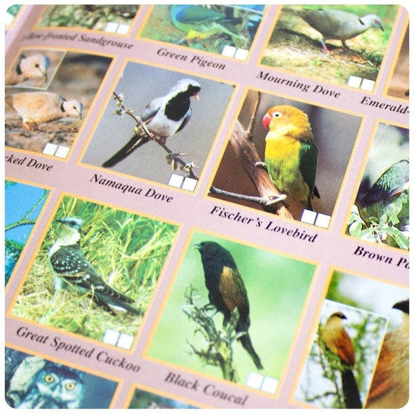 Tourist Map to Lake Manyara National Park, Tanzania