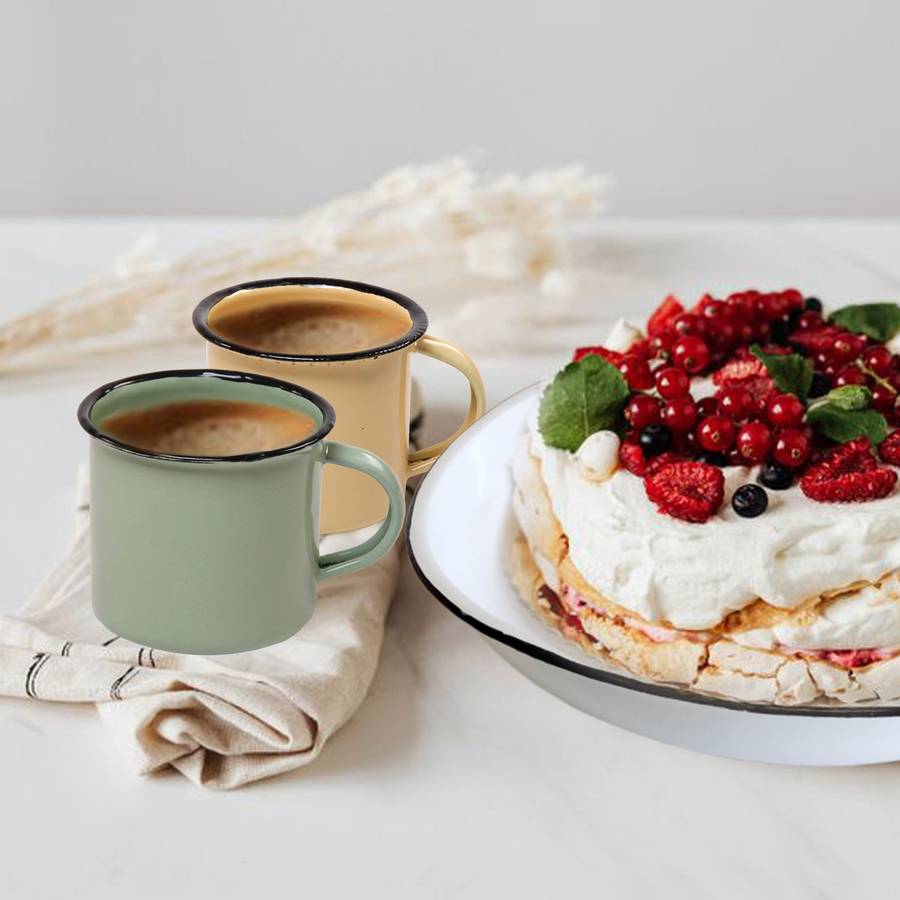 New World Enamel Mug Plain/Decorative