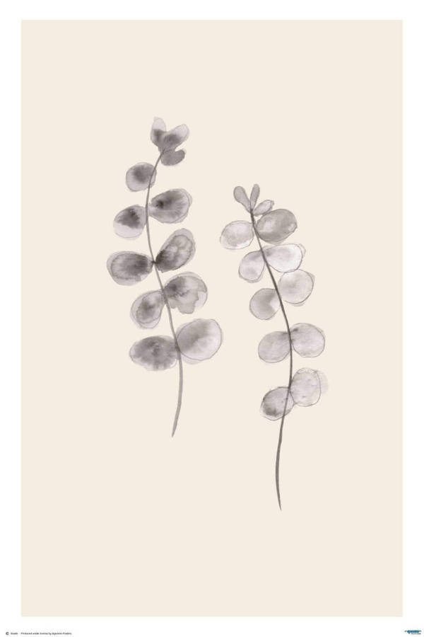 Eucalyptus Twigs (two)- line art poster - Art Poster