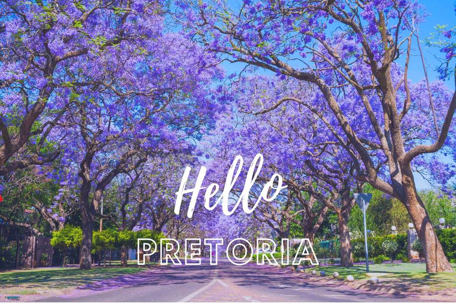 EgoAmo Original - Hello Pretoria Poster