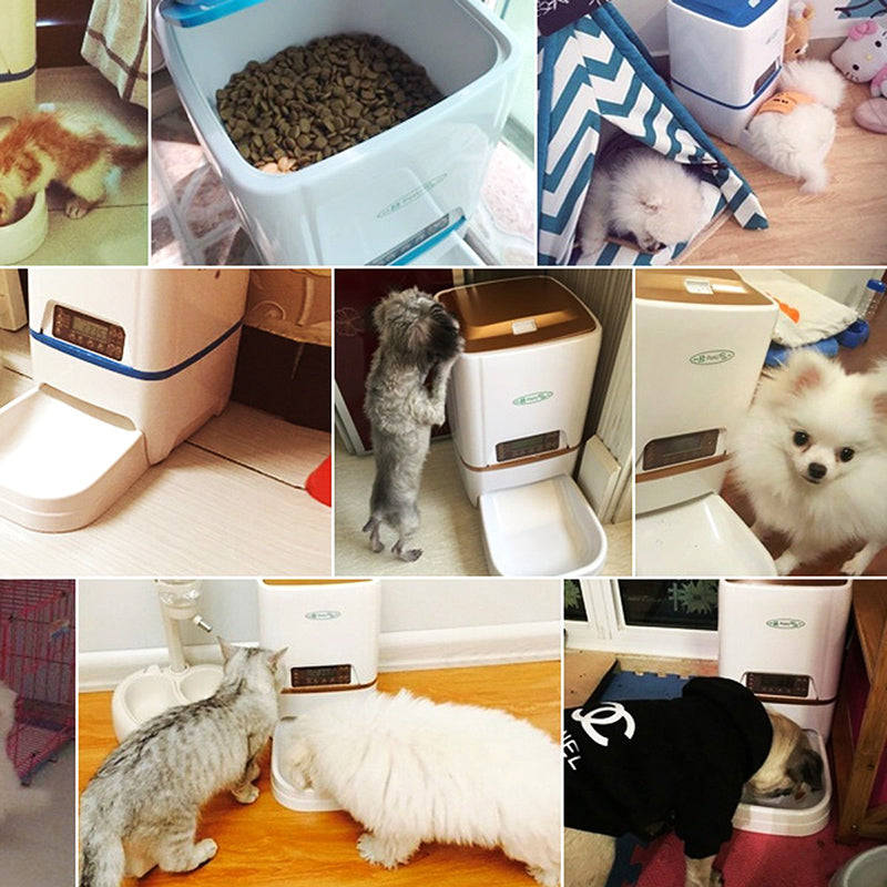 Automatic Pet Feeder