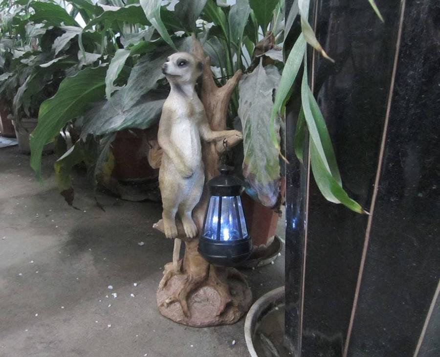 Solar Garden Tree Meerkat