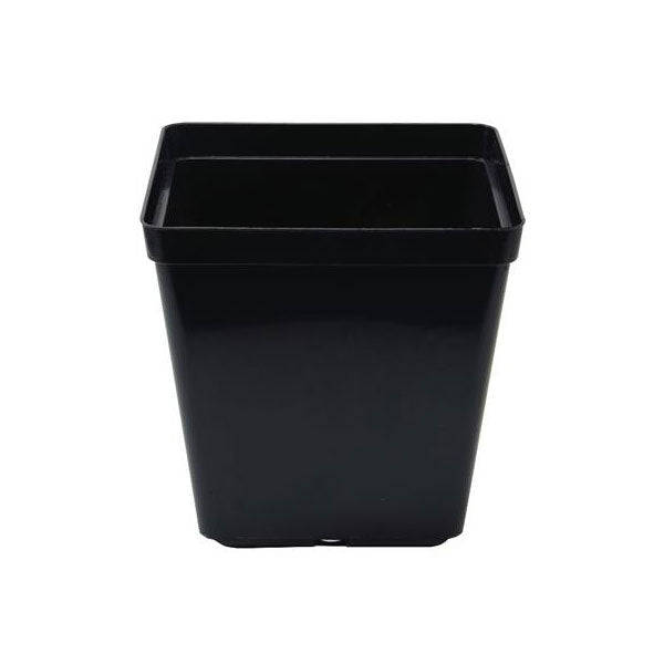 Square Pot 13cm - 1.5L