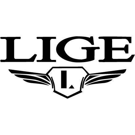 LIGE Luxury Mens Watches Chronograph Waterproof Quartz Designer Sport Watch  UK | eBay