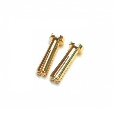 Team Powers 4mm Bullet Connector T-Type Gold Male
