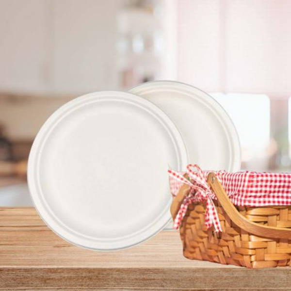 Healthy Life- Sugarcane Plate Eco Disposable - 26cm - Pack of 50