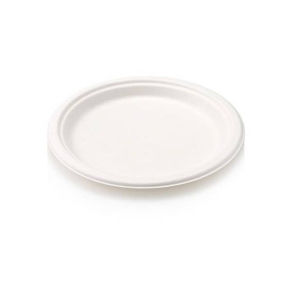 Healthy Life- Sugarcane Plate Eco Disposable - 22cm - Pack of 100